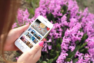 探索世界無限精彩——免費旅游App Mook玩世界